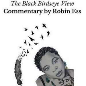 Black Birdseye View - Commentary by Robin Ess