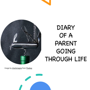 Diary of a parent going through life