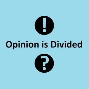 Opinion is Divided