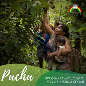 Pacha - Sin justicia ecológica no hay justicia social