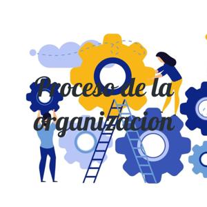 Proceso de la organizacion