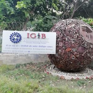 IGIB et al
