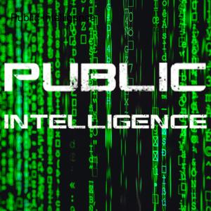 Public Intelligence