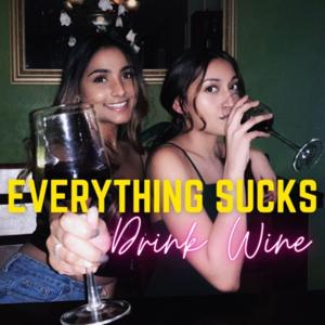 Everything Sucks Drink Wine