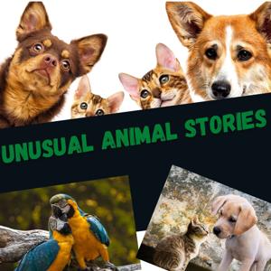 Unusual Animal Stories