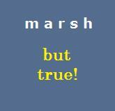 Marsh But True