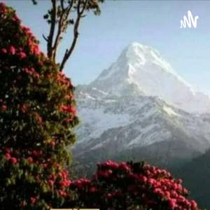 Madhu Muradia Podcasts