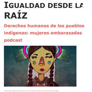 Igualdad Desde La Raíz Derechos de Los Pueblos indígenas: Mujeres Embarazadas