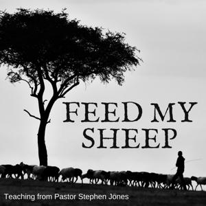 Feed My Sheep