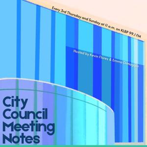 City Council Meeting Notes