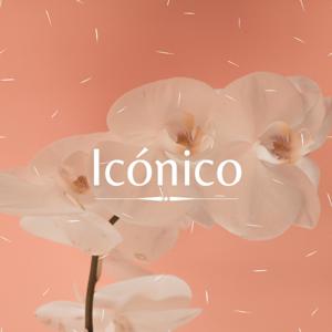 Icónico