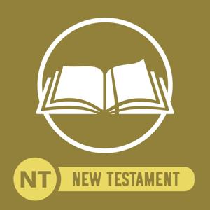 Commuter Bible NT by John Ross