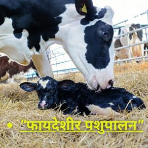 " 🐄🐂 फायदेशीर पशूपालन 🐄🐃🐏🐑🐓 "