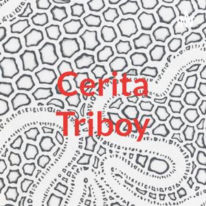 Cerita Triboy