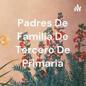 Padres De Familia De Tercero De Primaria