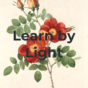 Learn by Light