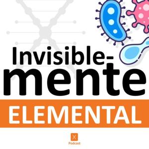 Invisiblemente elemental