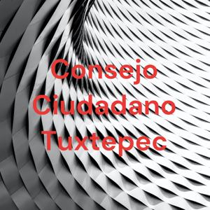 Consejo Ciudadano Tuxtepec