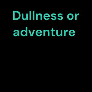 Dullness or adventure