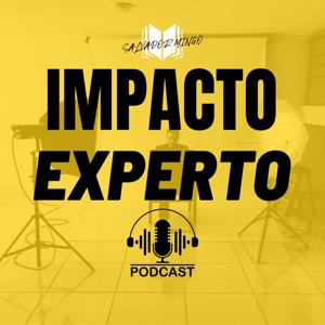 IMPACTO EXPERTO