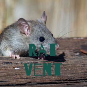 Rat Vent