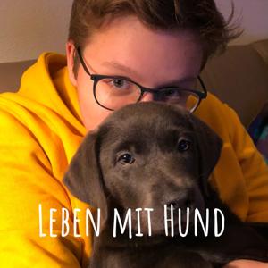 Leben mit Hund