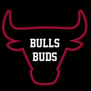 Bulls Buds