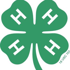 4-H Teen Talk