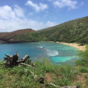 Forces of Nature by Tuk-Tuk Studios