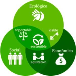 🌎Impacto Sustentable🌱♻️