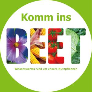 Komm ins Beet