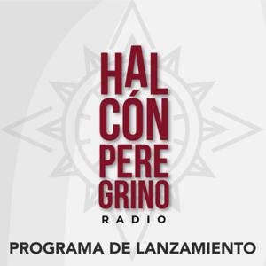 Halcón peregrino radio. Lanzamiento