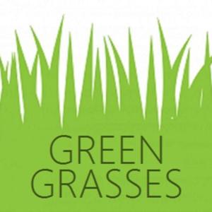 Green Grasses