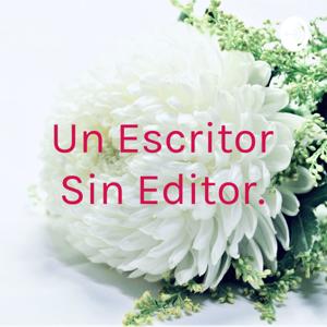 Un Escritor Sin Editor.