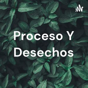 Proceso Y Desechos