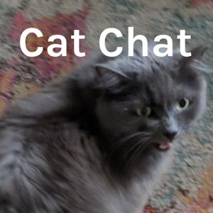 Cat Chat