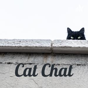 Cat Chat