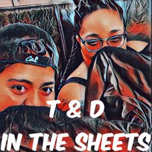 T & D in the Sheets