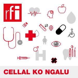 Cellal Ko Ngalu by RFI Fulfulde