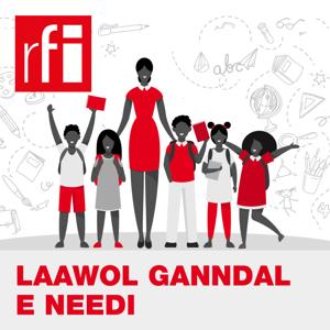 Laawol ganndal e needi by RFI Fulfulde