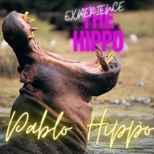 The Hippo Experience