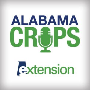 Alabama Crops Report