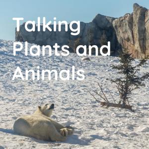 Talking Plants and Animals