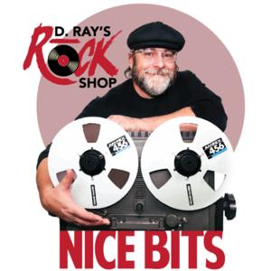 D. Ray's Rock Shop: Nice Bits!