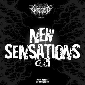 NEW SENSATIONS 2021 - chapter. I