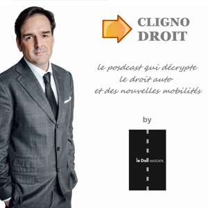 Clignotant Droit