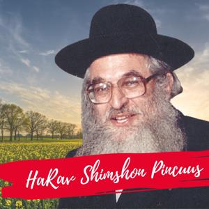 HaRav Shimshon Pincus by HaRav Shimshon Dovid Pincus