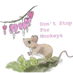 Don't Stop for Monkeys