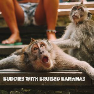 Buddies with Bruised Bananas