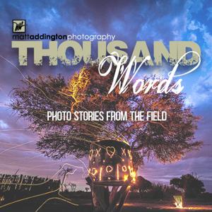 Thousand Words - Photo Stories from the Field